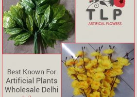 Best Known For Artificial Plants Wholesale Delhi